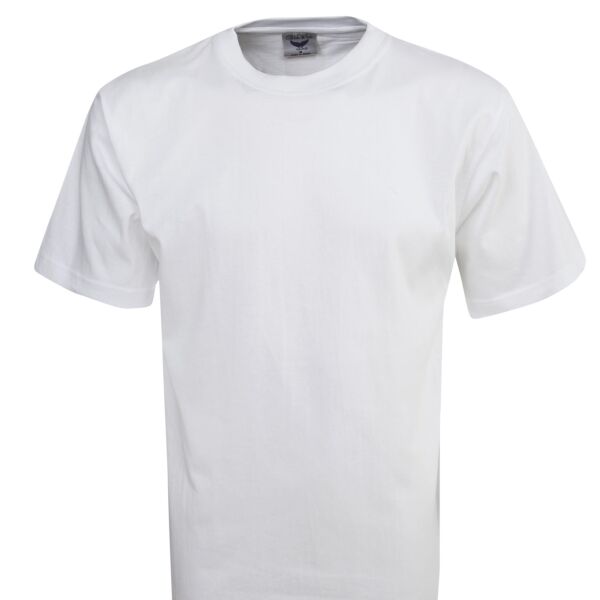 Premium Pre-Shrunk Cotton T-Shirt  Thumbnail